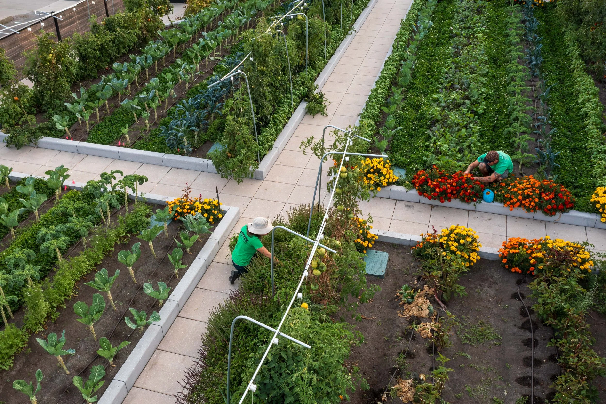 Press | Rooftop Farms — Recover Green Roofs